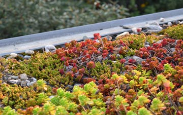 the cost of Bescaby green roof installation
